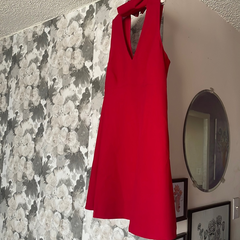 Little red dress
